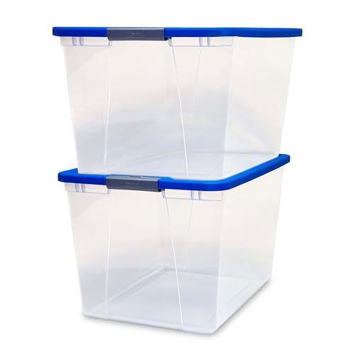 Blue Lid
