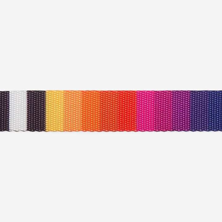 Zee.Dog Prisma Dog Collar - Adjustable, Durable & Stylish Pet Collar for Small, Medium & Large Dogs - Perfect for Walks, Training & Outdoor Adventures
