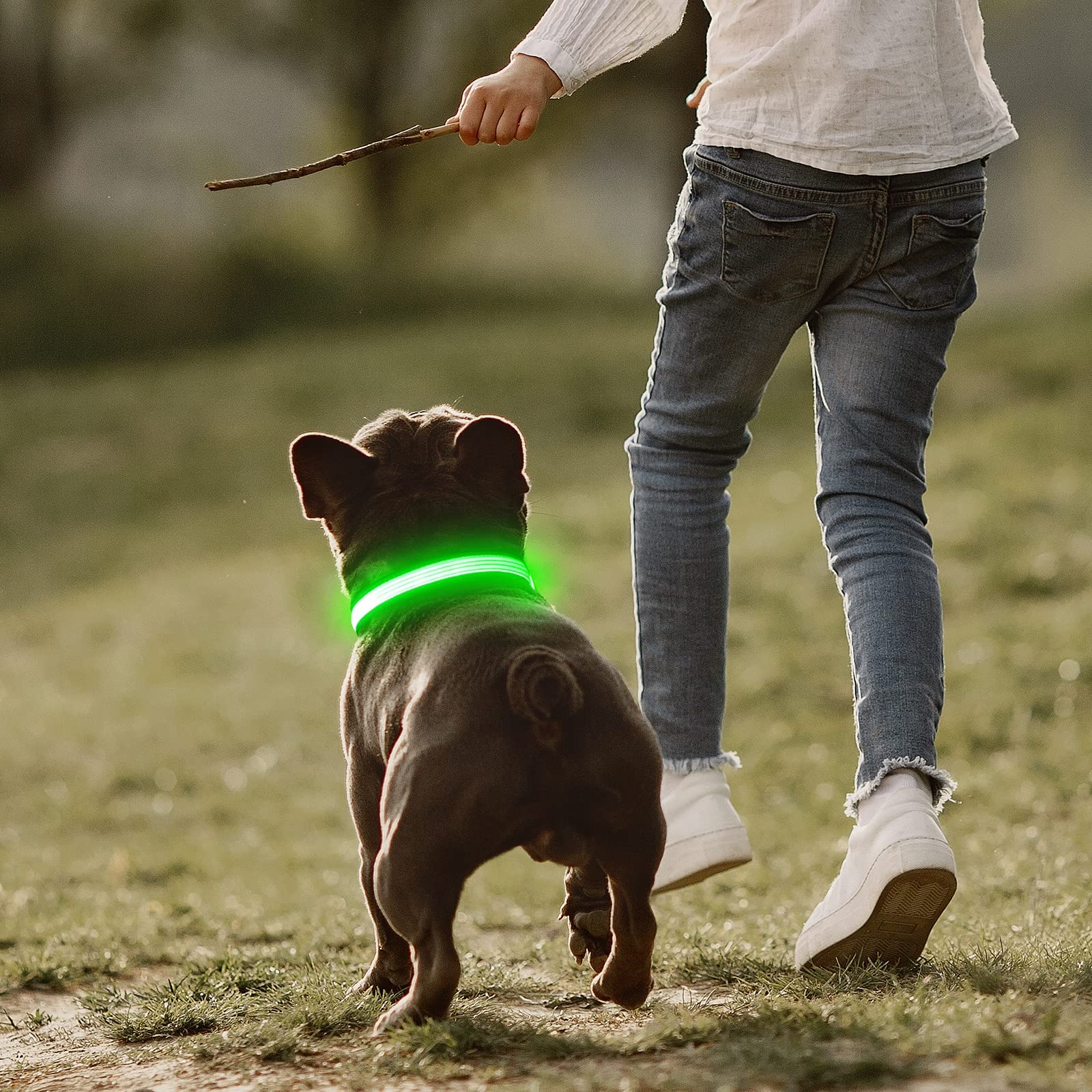 YFbrite Adjustable LED Dog Collar with Reflective Strip - Glow in The Dark Safety Collar for Small Dogs (Green) - Perfect for Night Walks, Jogging & Outdoor Adventures