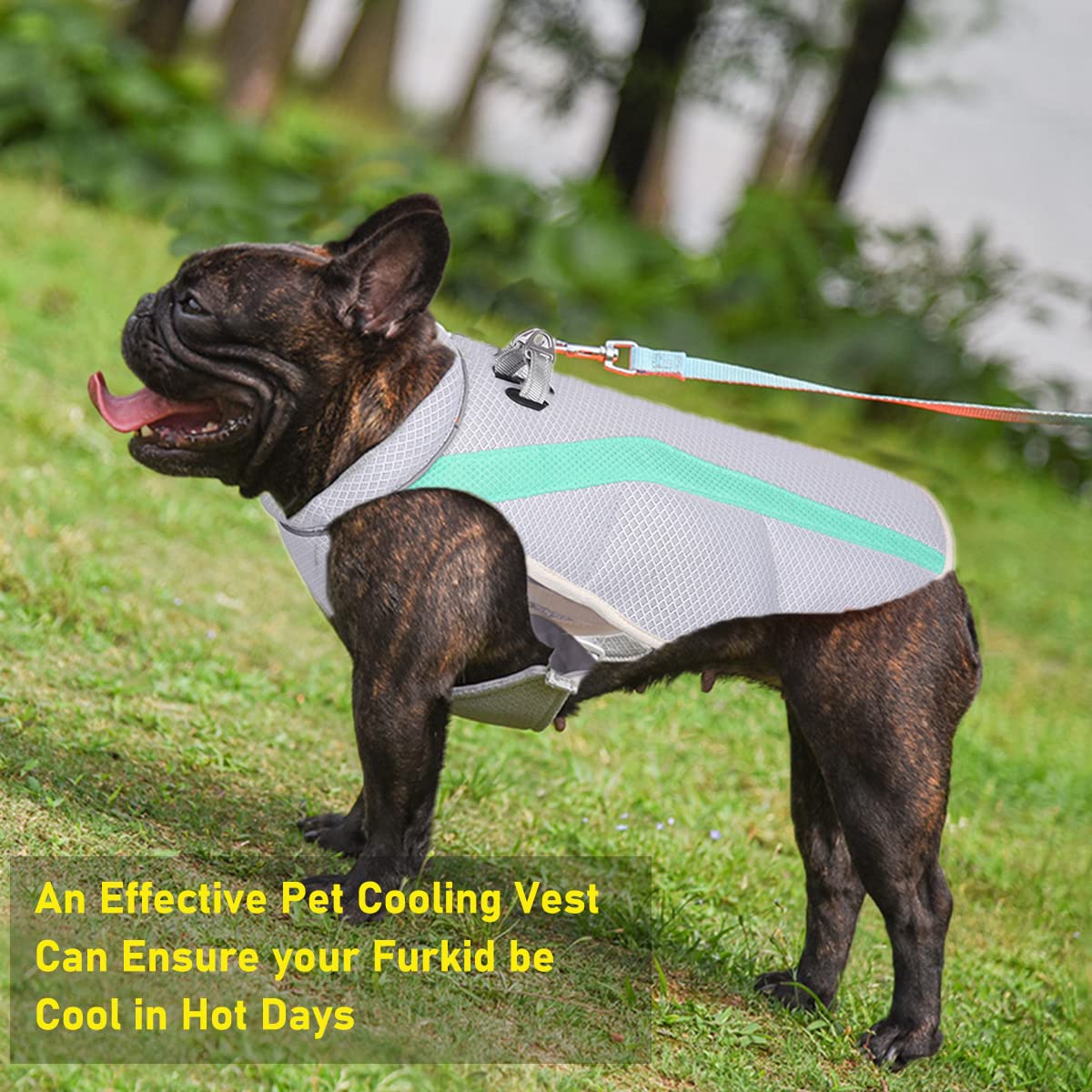 Cooling Vest for Dogs - Lightweight Summer Cooling Shirt with Reflective Strips for Medium Dogs | Perfect for Hot Weather Walks, Hiking & Outdoor Adventures