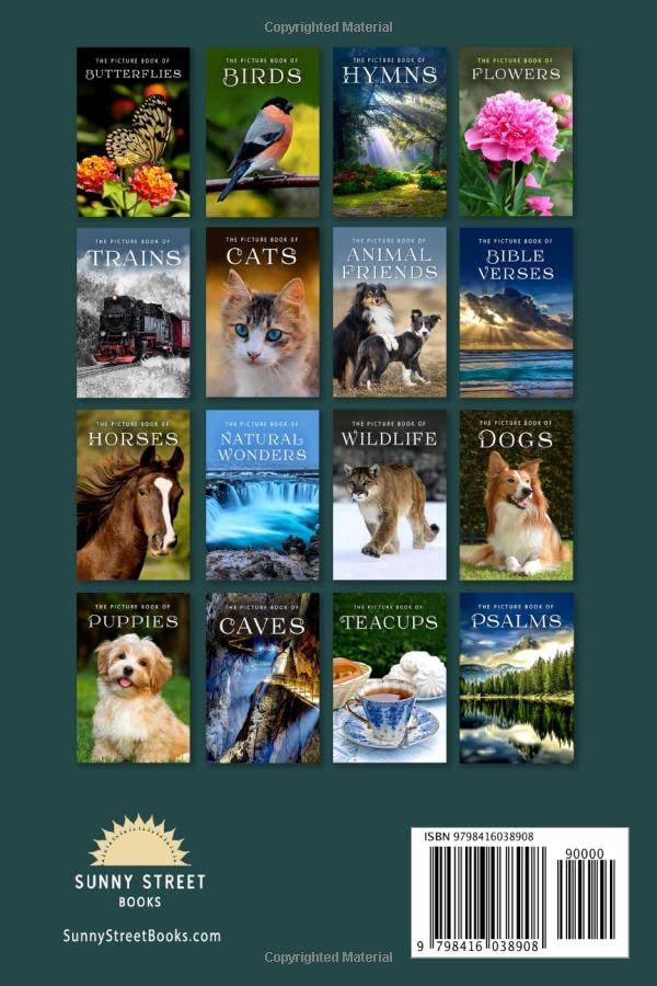 Stunning Sunset Picture Book - Nature Photography for Kids & Adults | Perfect for Bedtime Stories, Relaxation & Home Decor