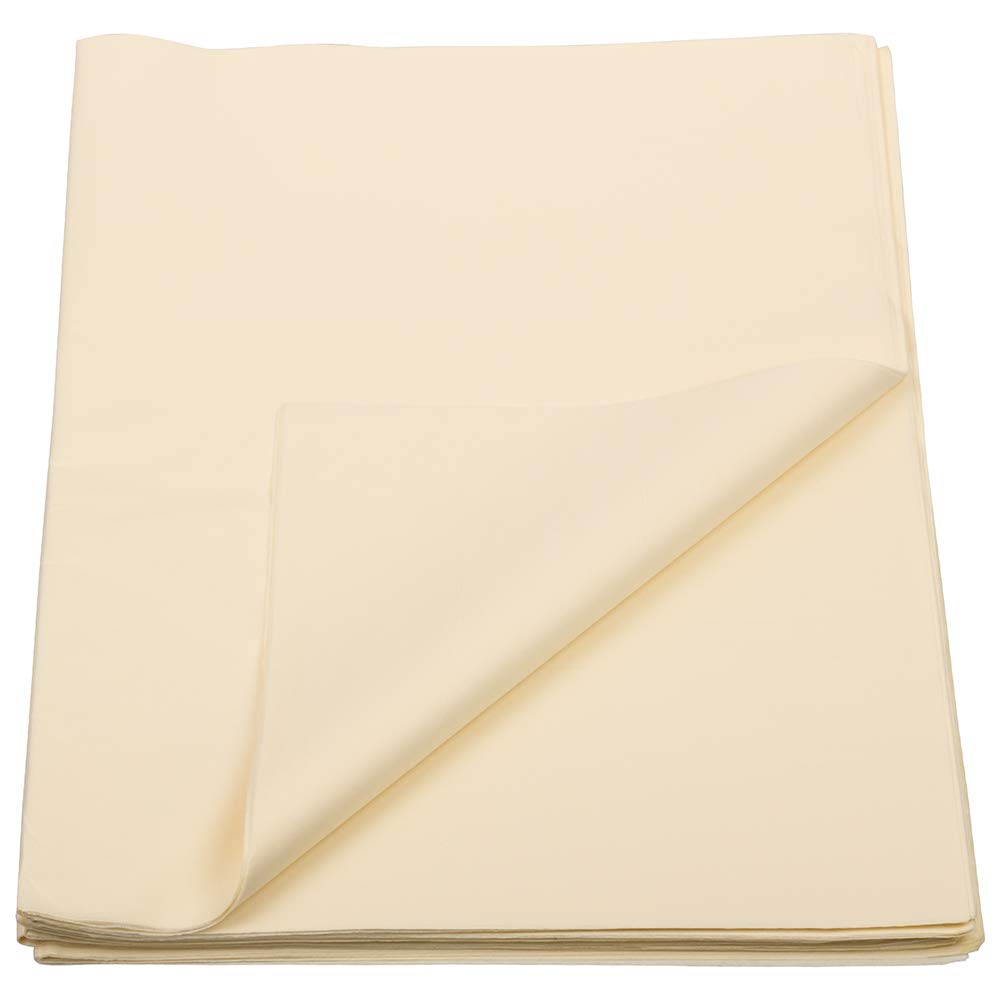 JAM PAPER Ivory Tissue Paper - 480 Sheets per Ream - Perfect for Gift Wrapping, Party Decorations, and Craft Projects