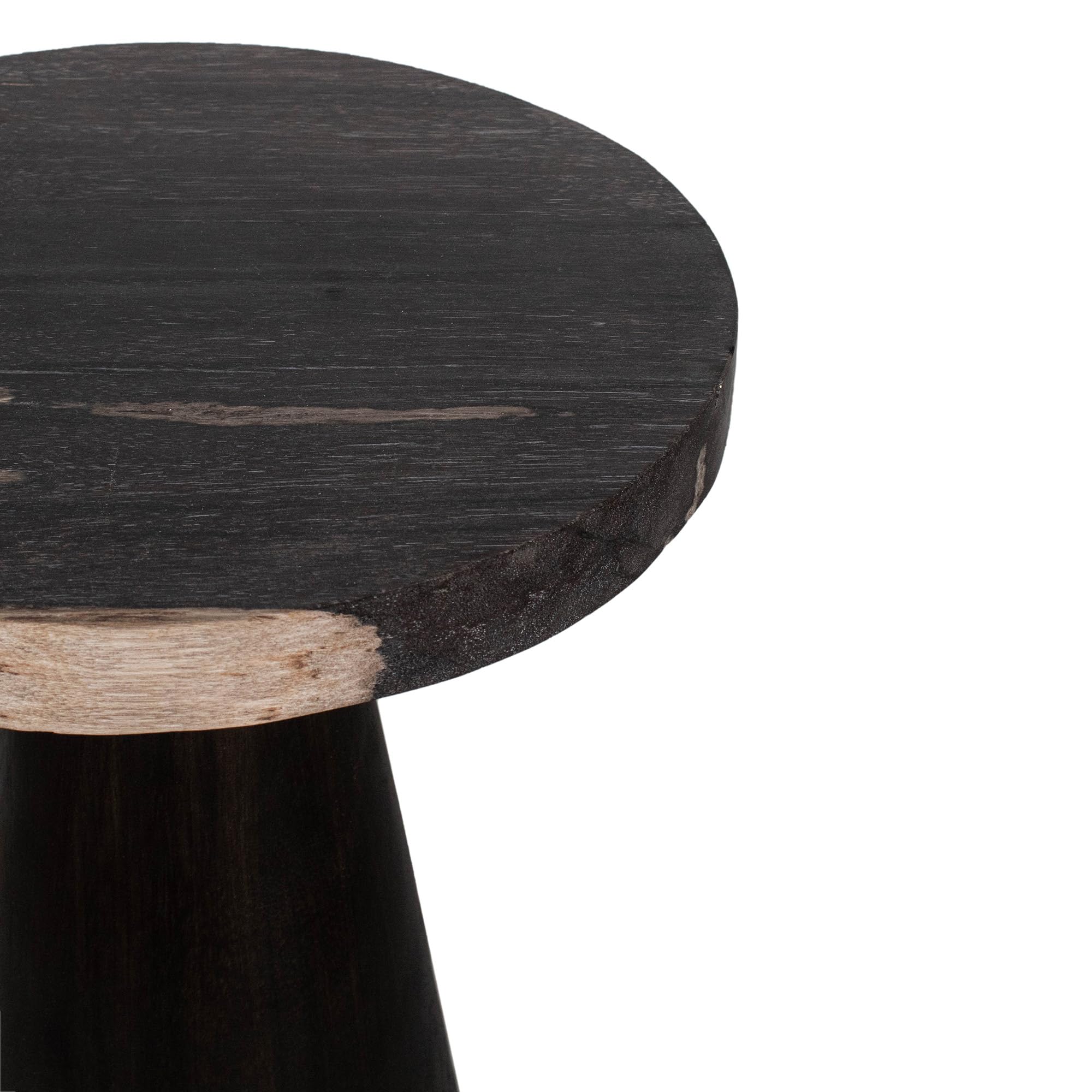 Egypt Sherrod Kayu Petrified Wood Pedestal Side Table - 12