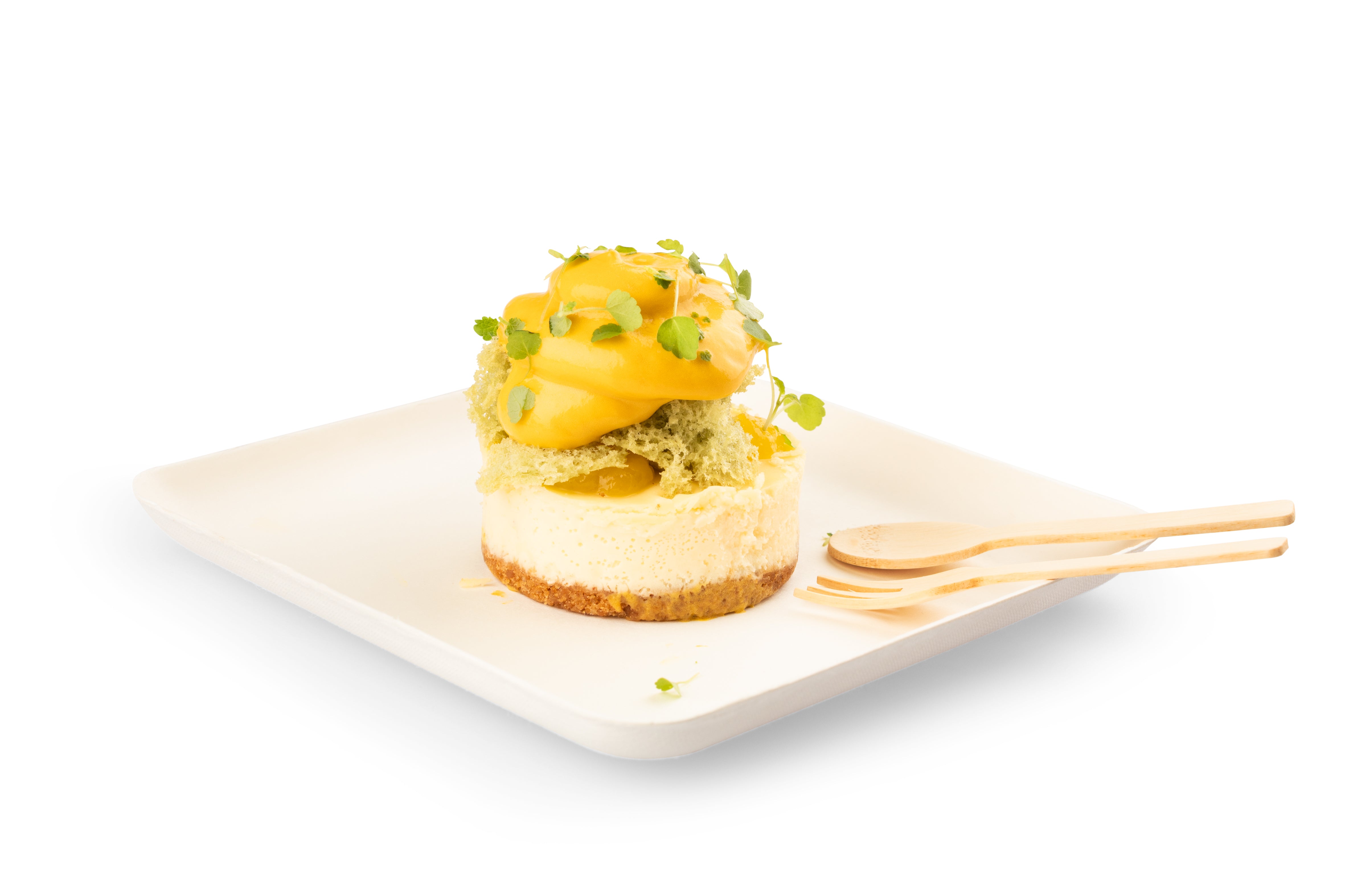 Bagastro Square Plate - Elegant and Durable Dinnerware Set for Home, Restaurant, and Party Use - Perfect for Serving Appetizers, Desserts, and Meals