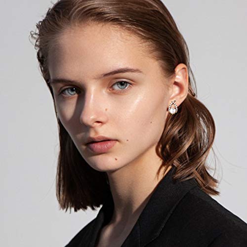 Aganippe 12/30 Pairs Assorted Stainless Steel Stud Earrings Set - Mini Hoop, Animal, Pearl, Crystal & Geometric Stud Earrings for Women & Teen Girls | Heart, Cat & Cute Designs | Perfect Gift for Birthdays, Parties & Everyday Wear