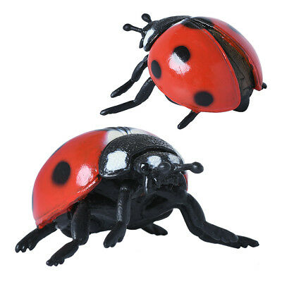 CollectA Medium Ladybug Figurine - Realistic Insect Toy for Kids, Educational Bug Model for Nature Play & Science Learning