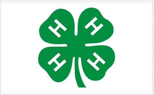 4H Clover 3'x5' Heavy Duty Polyester Flag - Durable 100D ROUGH TEX® Outdoor & Indoor Use for Garden, Patio, and Events