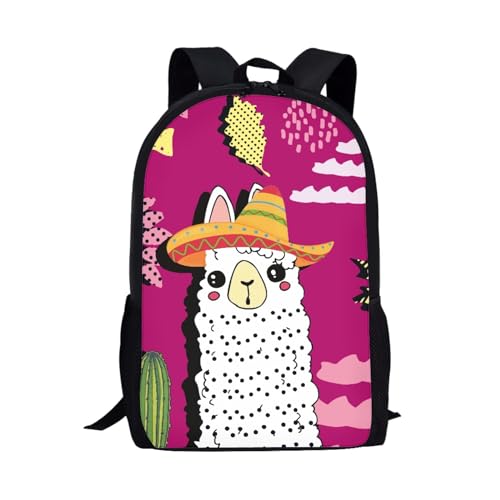 Cartoon Alpaca