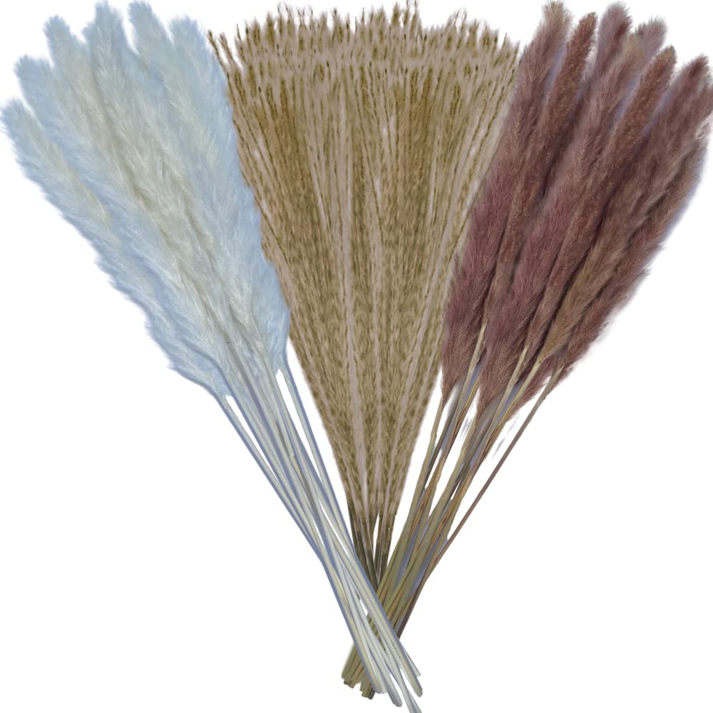 LUXTR 40pcs Pampas Grass Decor - Boho Wedding & Home Decor for Parties