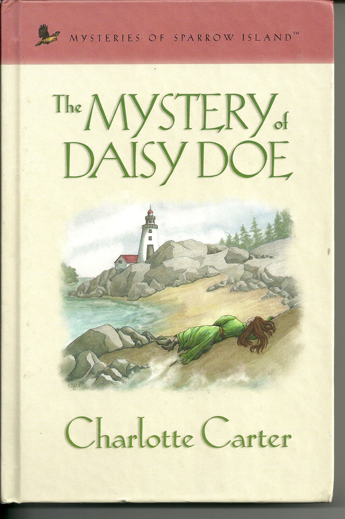 The Mystery of Daisy Doe - Book 9 in Sparrow Island Mystery Series | Cozy Mystery Novel for Adults | Perfect for Beach Reading & Book Club Discussions