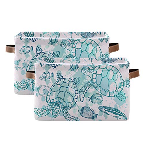 Tropical Turtle