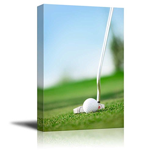 Golf Club With Golf Ball