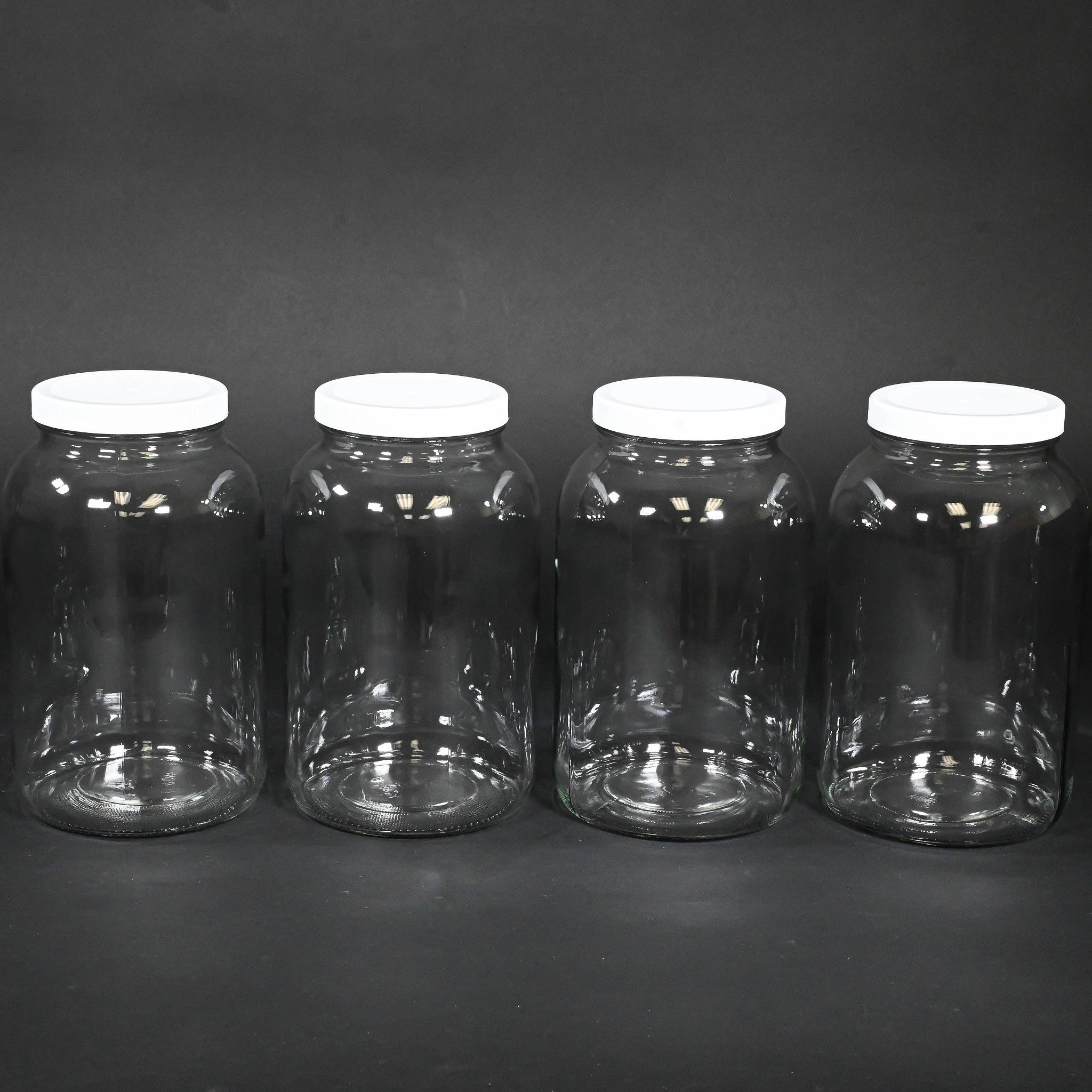 4 Pack 1 Gallon Glass Bottles with Airtight Lids - Perfect for Home Brewing, Juice Storage & DIY Projects