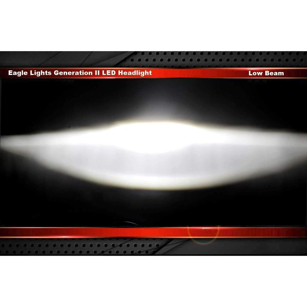 Eagle Lights 8700CG2P-899 7
