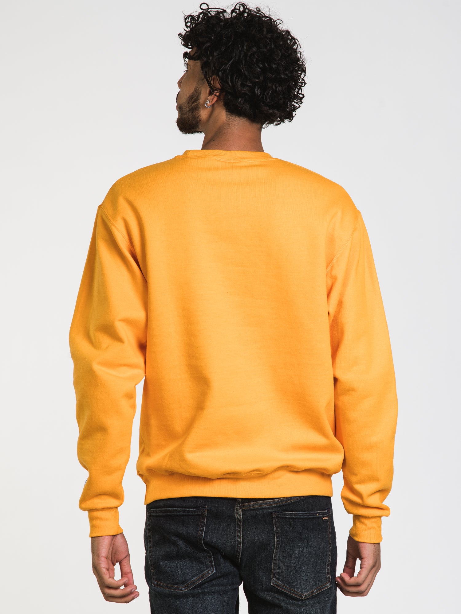 Champion Eco Powerblend Michigan Crewneck Sweater - Soft & Sustainable Cotton Blend, Comfortable Pullover for Men & Women - Perfect for Casual Wear, Outdoor Activities & Layering in Cool Weather