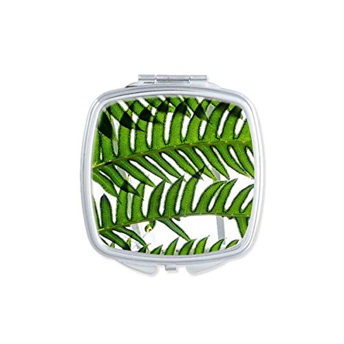 DIYthinker Portable Double-Sided Compact Mirror with Fresh Leaves Plant Design - Perfect for Makeup, Travel, and Nature Lovers (Pocket-Sized Glass Mirror)