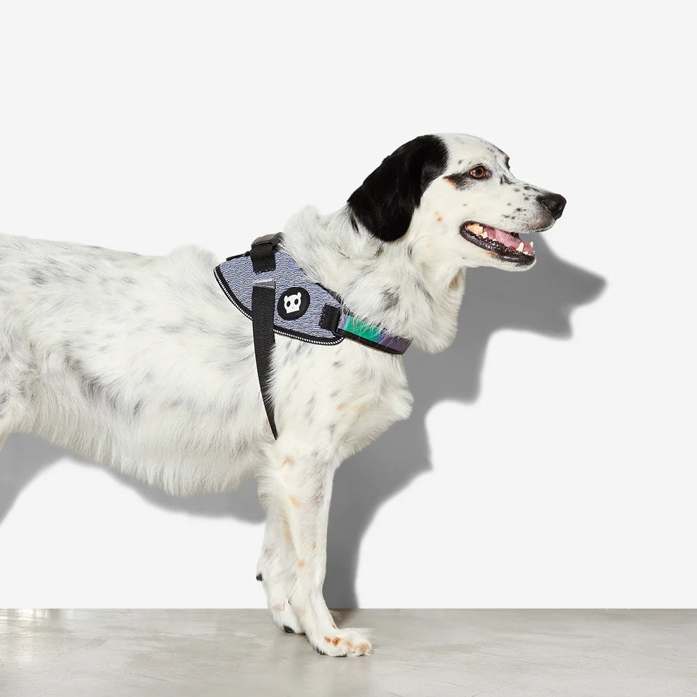 Zee.Dog FlyHarness - Adjustable Dog Harness for Urban Adventures, Walking & Outdoor Activities | Comfortable & Secure Pet Harness for Small, Medium & Large Dogs