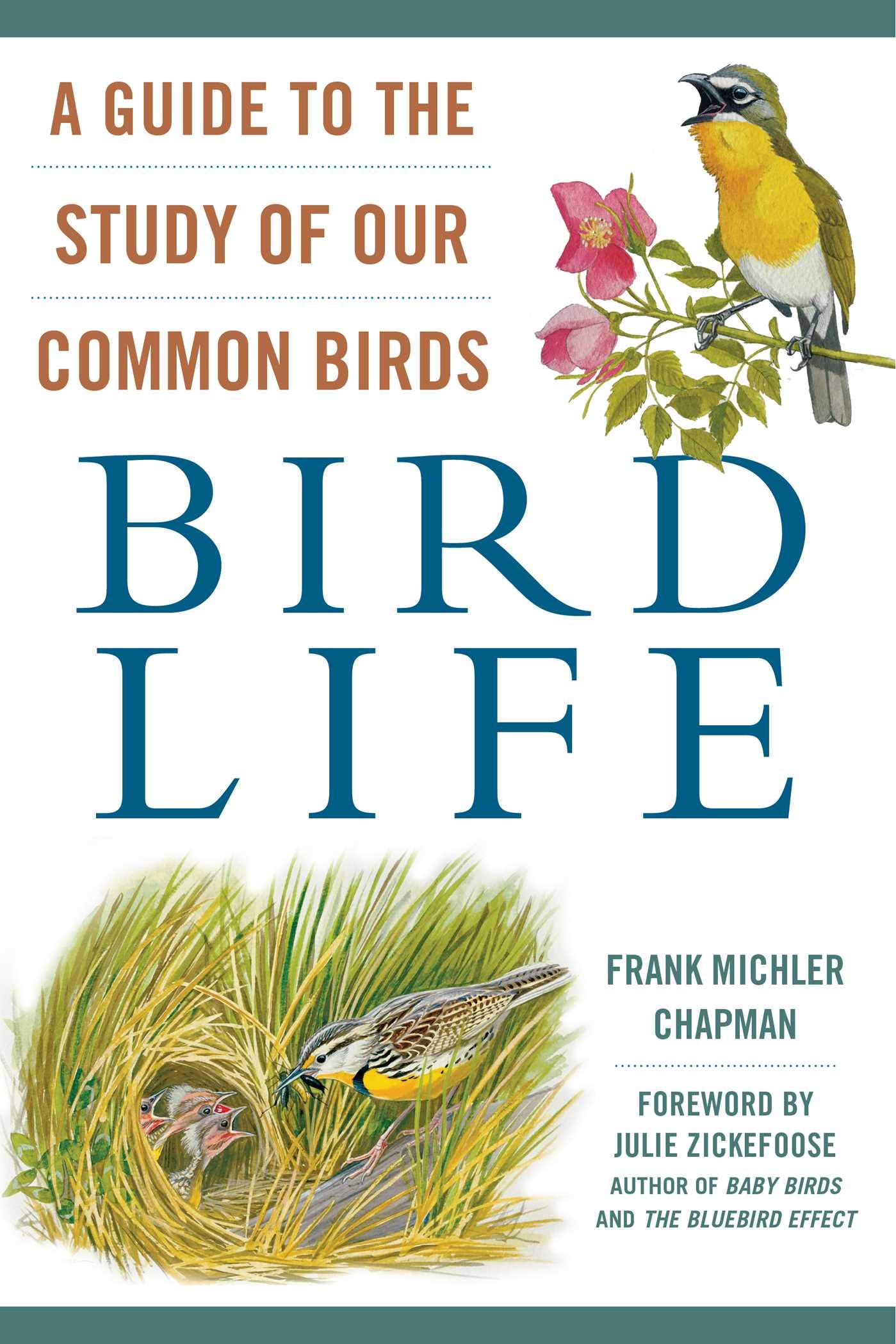 Bird Life: A Guide to Studying Common North American Birds - Perfect for Birdwatching, Nature Education & Outdoor Exploration