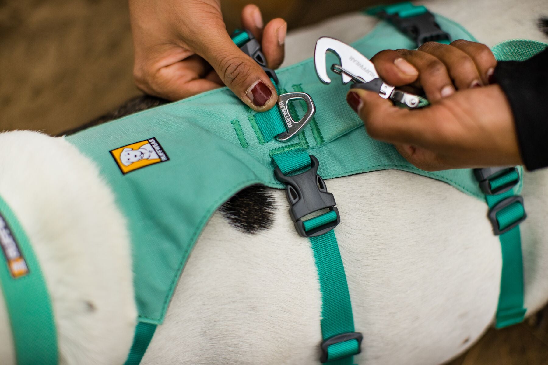 Ruffwear Flagline® Multi-Use Reflective Dog Harness - High-Visibility Yellow (Phosphorescent Lichen Green) for Hiking, Running & Nighttime Safety