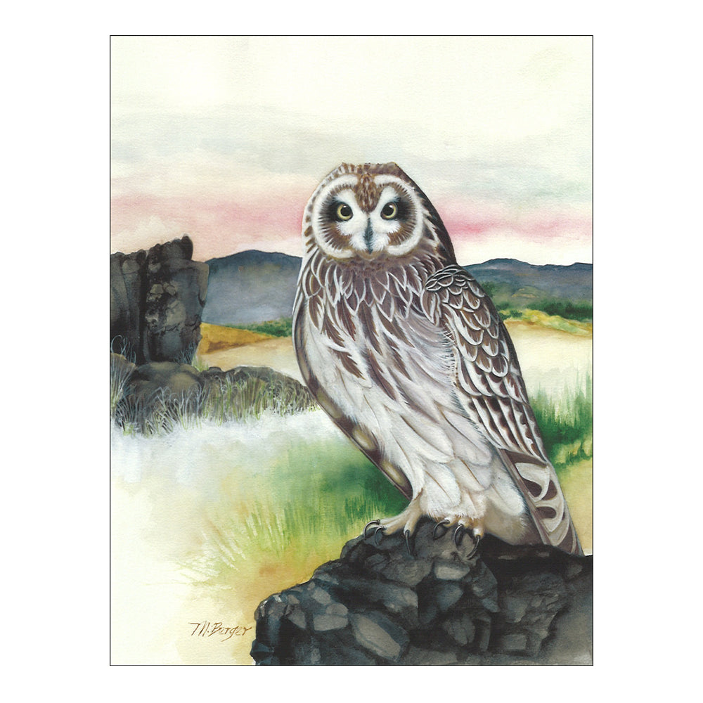 Hawaiian Owl Notecard - Pueo on Rock Design, Blank Note Cards for Greetings, Thank You Notes & Invitations - Perfect for Bird Lovers & Nature Enthusiasts