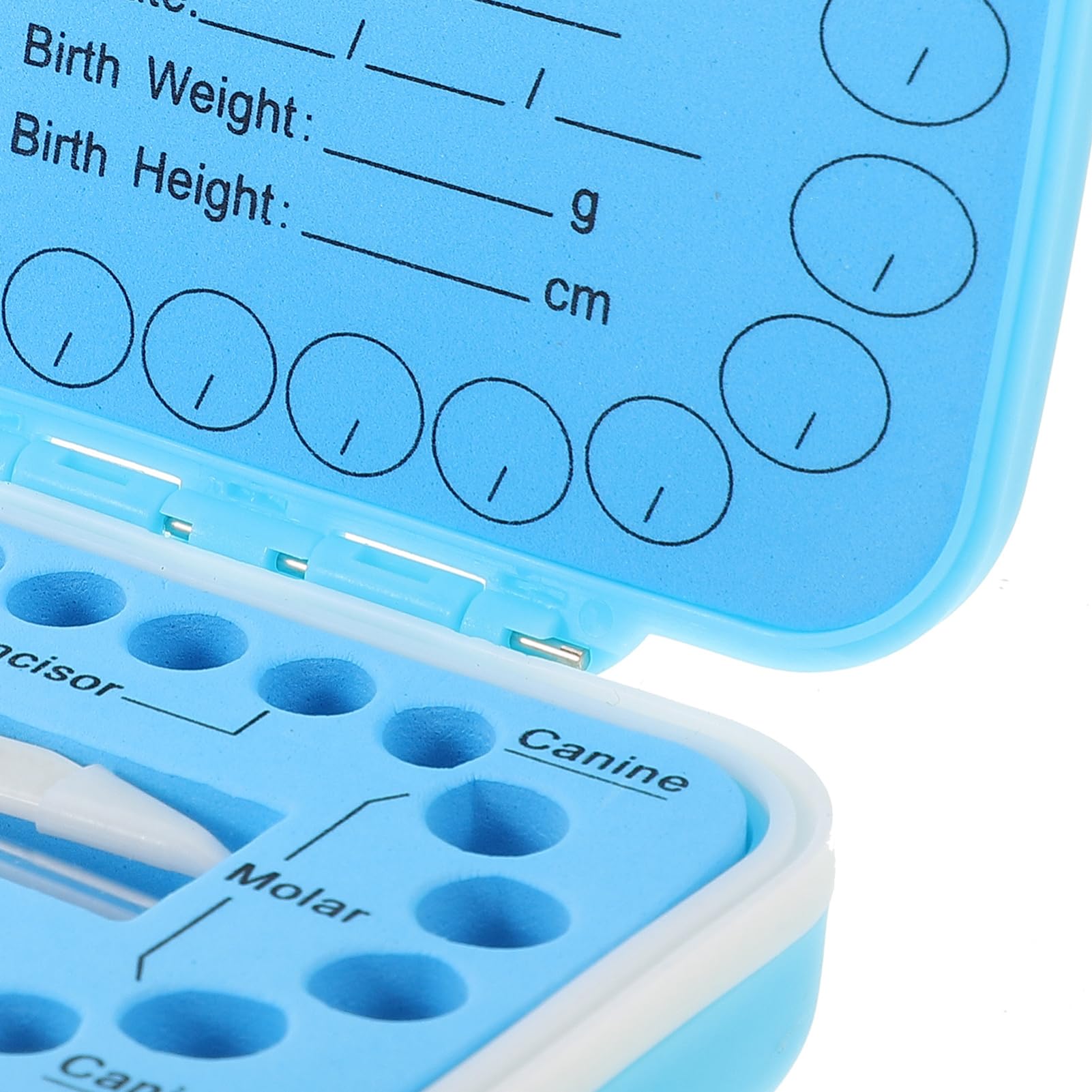 iBasenice Baby Teeth Keepsake Box - First Tooth Storage Container for Infants & Kids | Plastic Tooth Holder for Milestone Memories | Perfect for Baby Showers, Christenings & Childhood Memorabilia