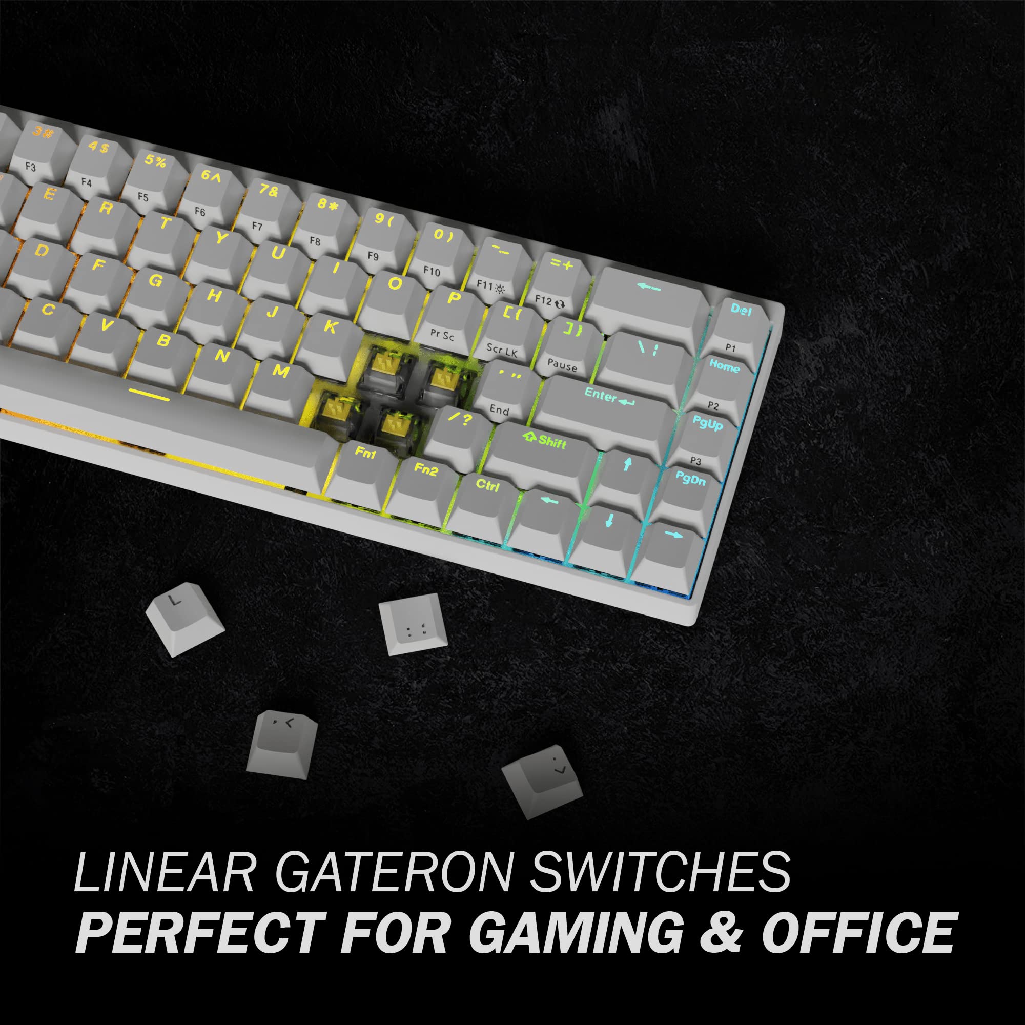 DURGOD Hades 68 RGB Mechanical Keyboard - 65% Compact, PBT Keycaps for Gaming & Office