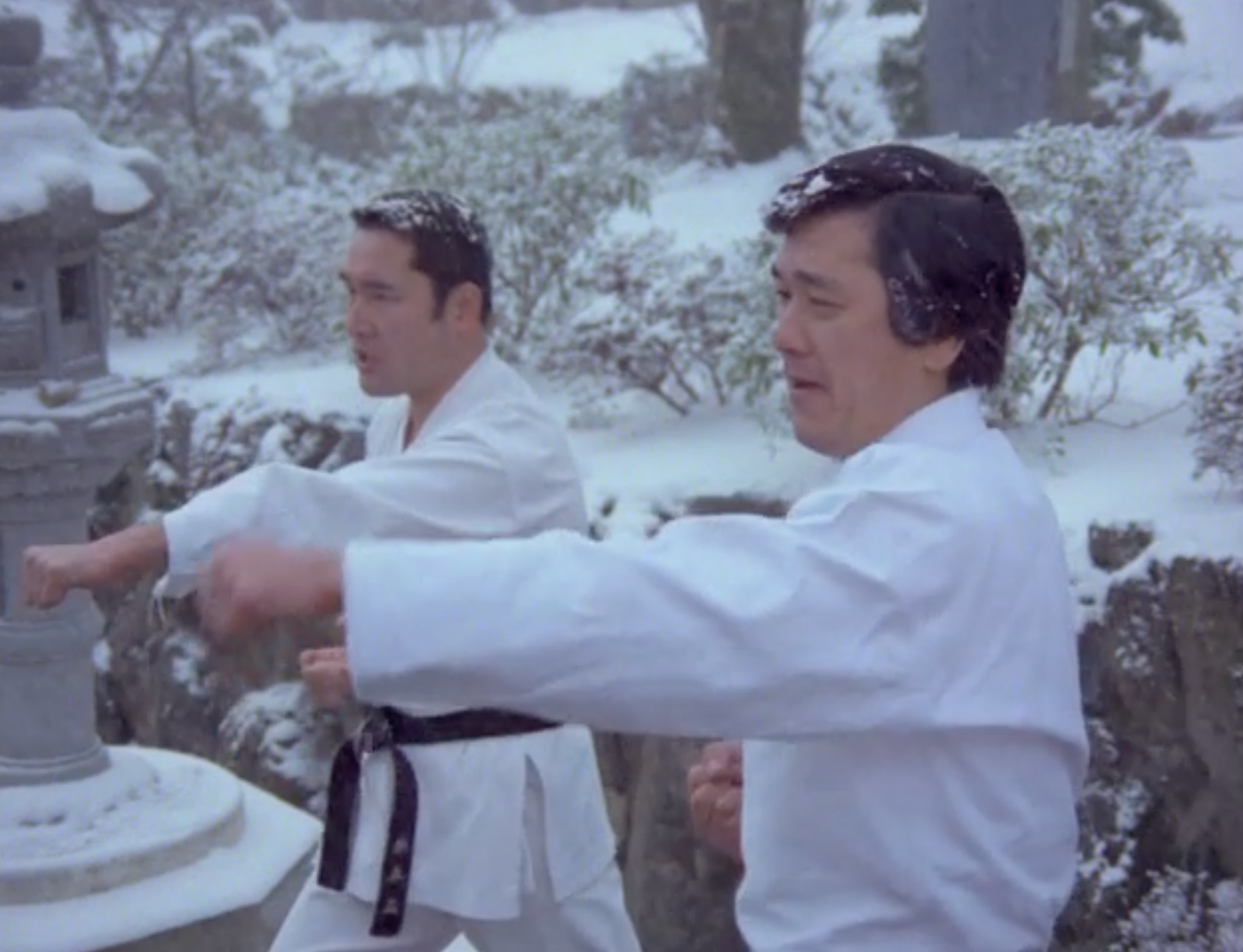 Budo: The Art of Killing - Martial Arts Documentary DVD | Explore Japanese Warrior Traditions & History | Perfect for Martial Arts Enthusiasts & History Buffs