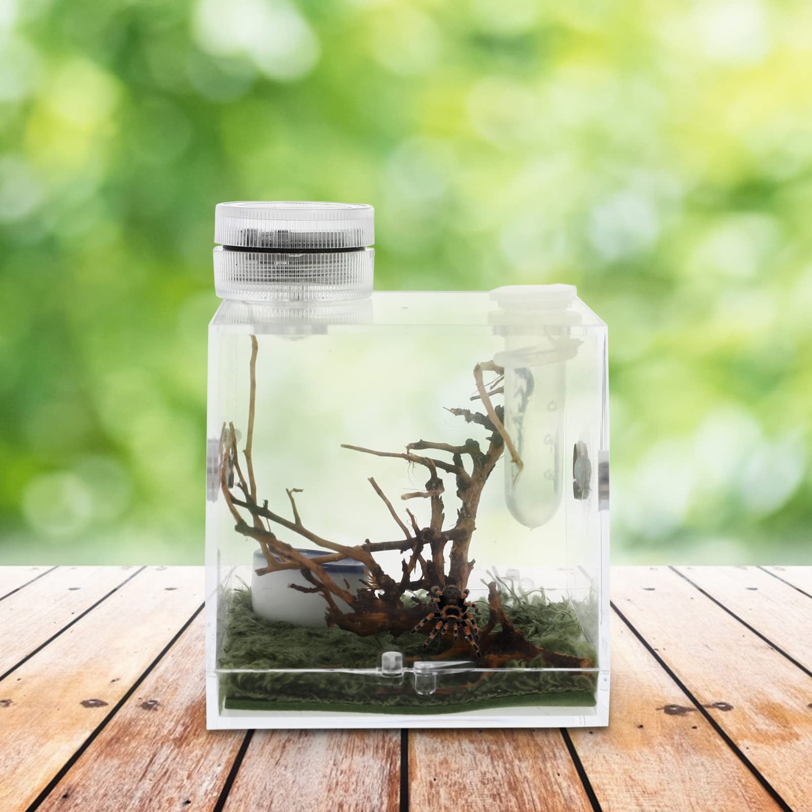 Premium Acrylic Reptile Terrarium with Built-in LED Light - 20 Gallon Transparent Spider Enclosure Habitat for Tarantulas, Lizards & Small Pets - Perfect for Home, Office or Classroom Display