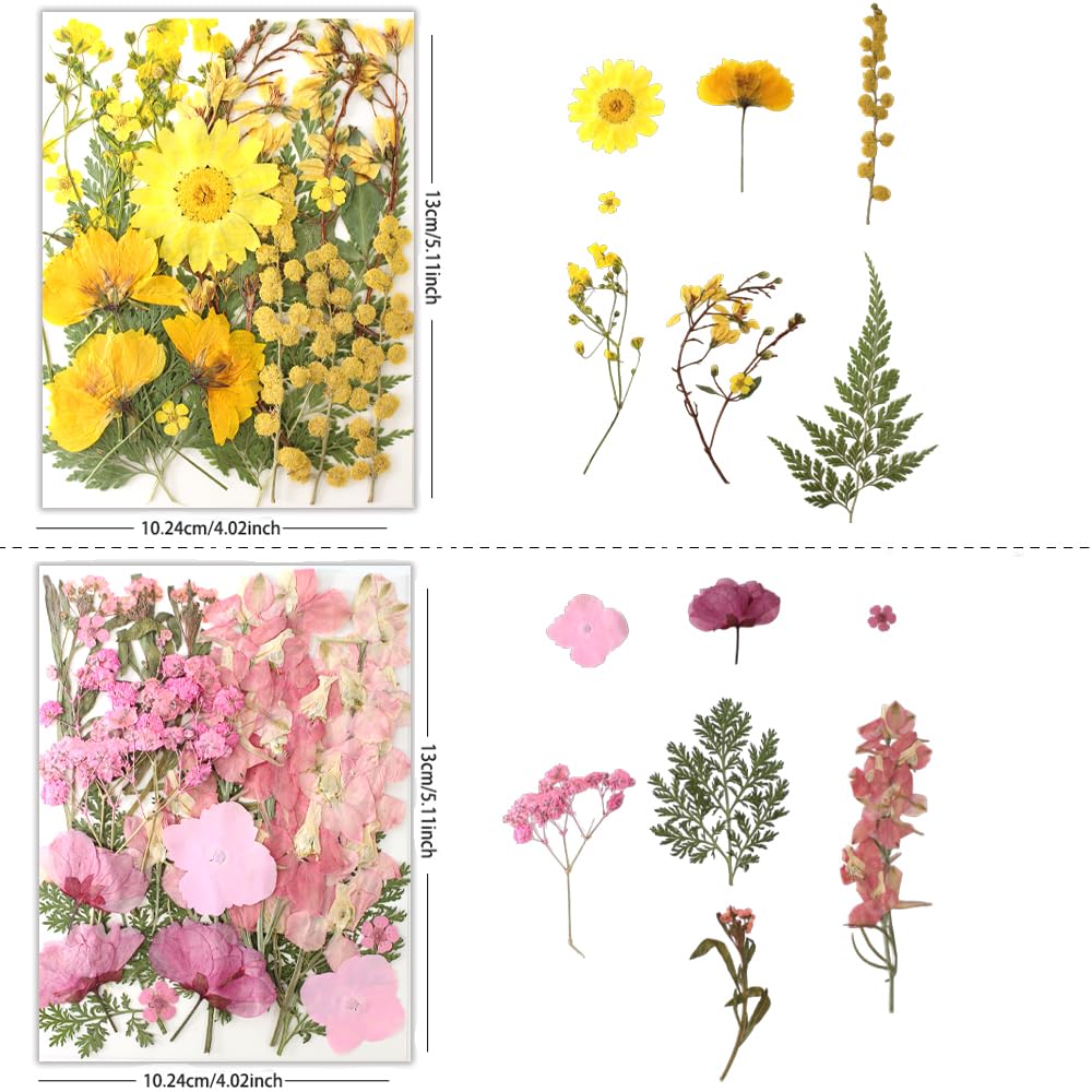 80Pcs Natural Pressed Dried Flowers Bulk for Resin Molds, Nail Art, Scrapbooking, Candle Holder & Jewelry Making - DIY Craft Supplies Kit for Home Decor, Wedding Invitations & Gift Wrapping