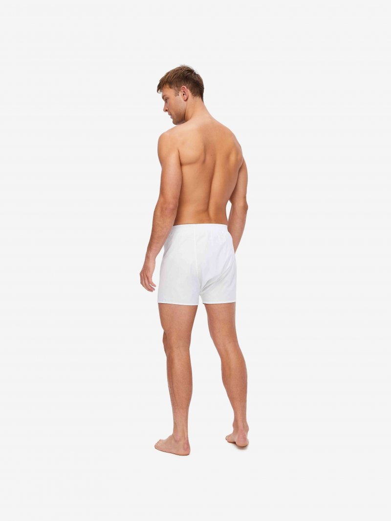 DEREK ROSE Savoy Cotton Classic Boxer Briefs for Men - Soft Breathable Underwear for Everyday Comfort | Perfect for Work, Gym & Lounge