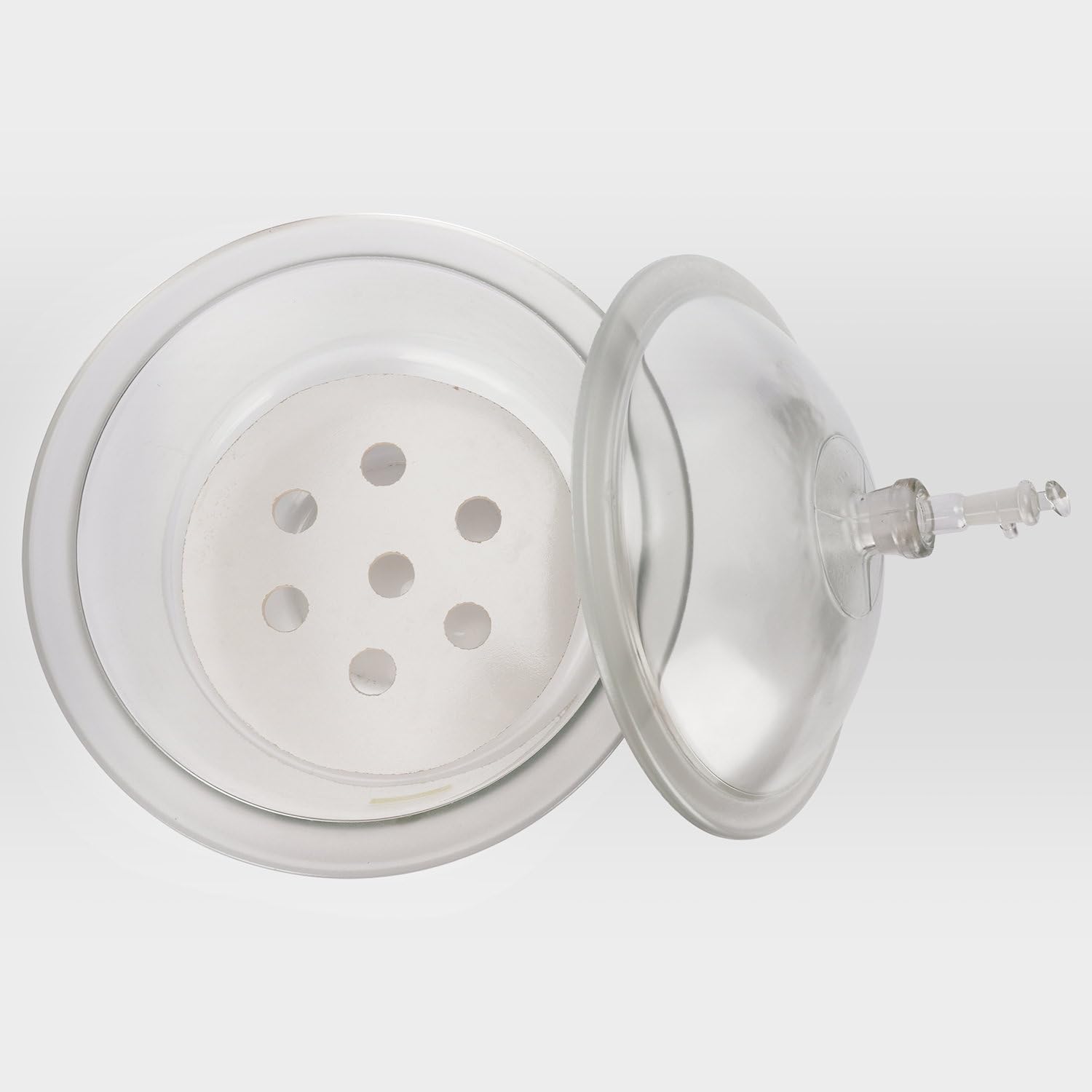 Labasics 11.8 Inch Glass Vacuum Desiccator with Porcelain Plate - Scientific Lab Equipment for Moisture-Sensitive Experiments, Chemical Storage & Research Applications