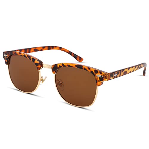 B3 Tortoise/Brown