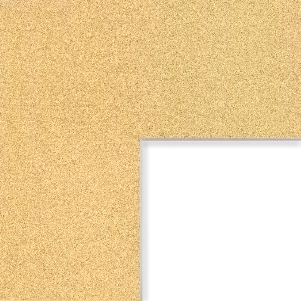 Craig Frames B5075 10x12-Inch Picture Frame Mat - Single Opening for 8x10-Inch Photos - Frosted Gold with Cream Core - Perfect for Home Decor, Wall Art & Photo Displays
