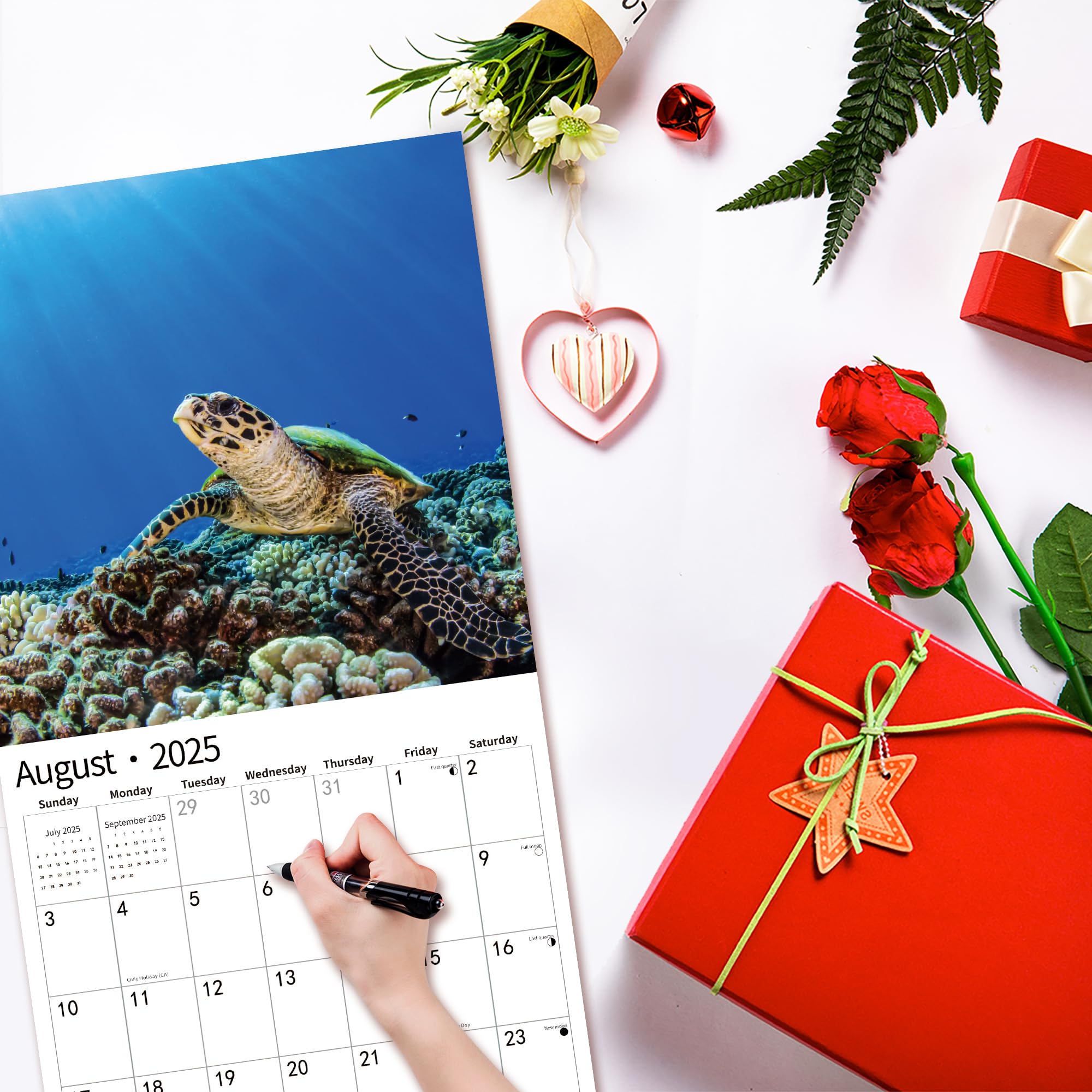 2025 Sea Turtles Wall Calendar - November 2024 to December 2025 | 12