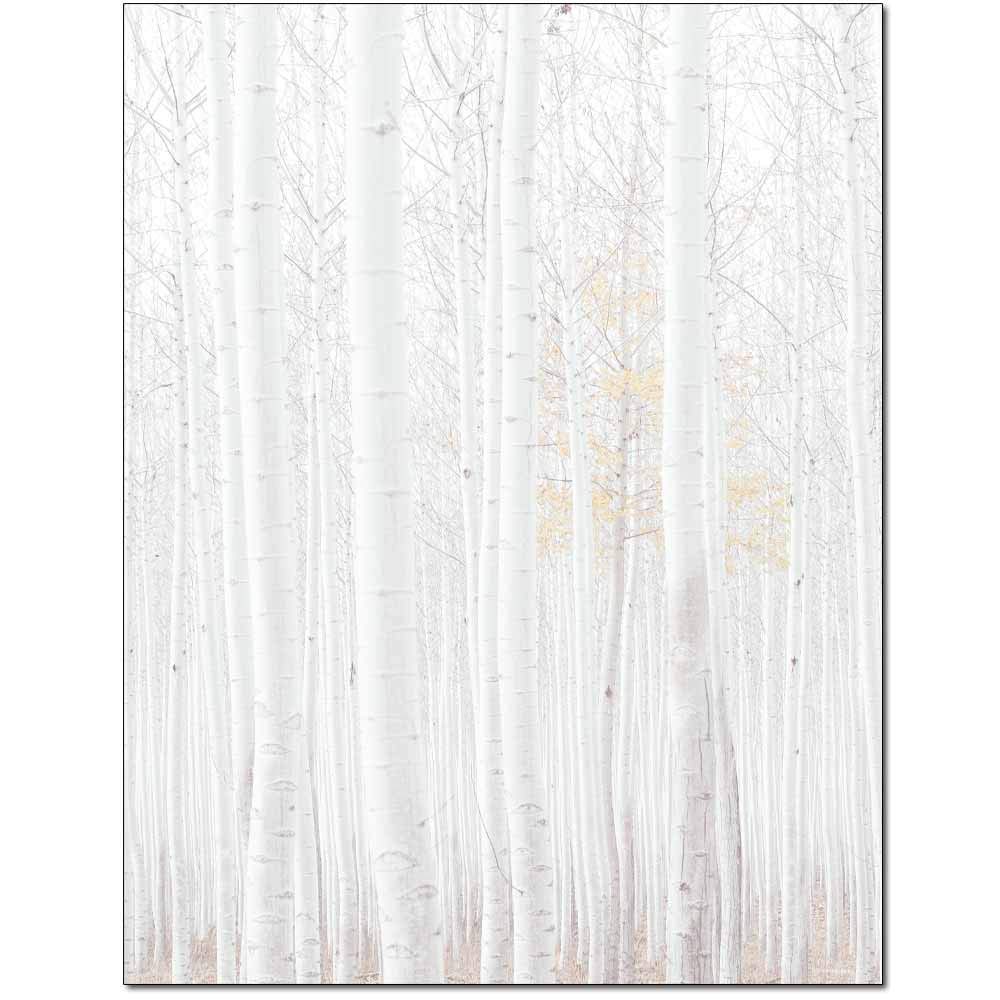 Premium Birch Grove Letterhead Paper - 25 Sheets for Laser & Inkjet Printers - Elegant Stationery for Business Correspondence, Office Use & Professional Documents