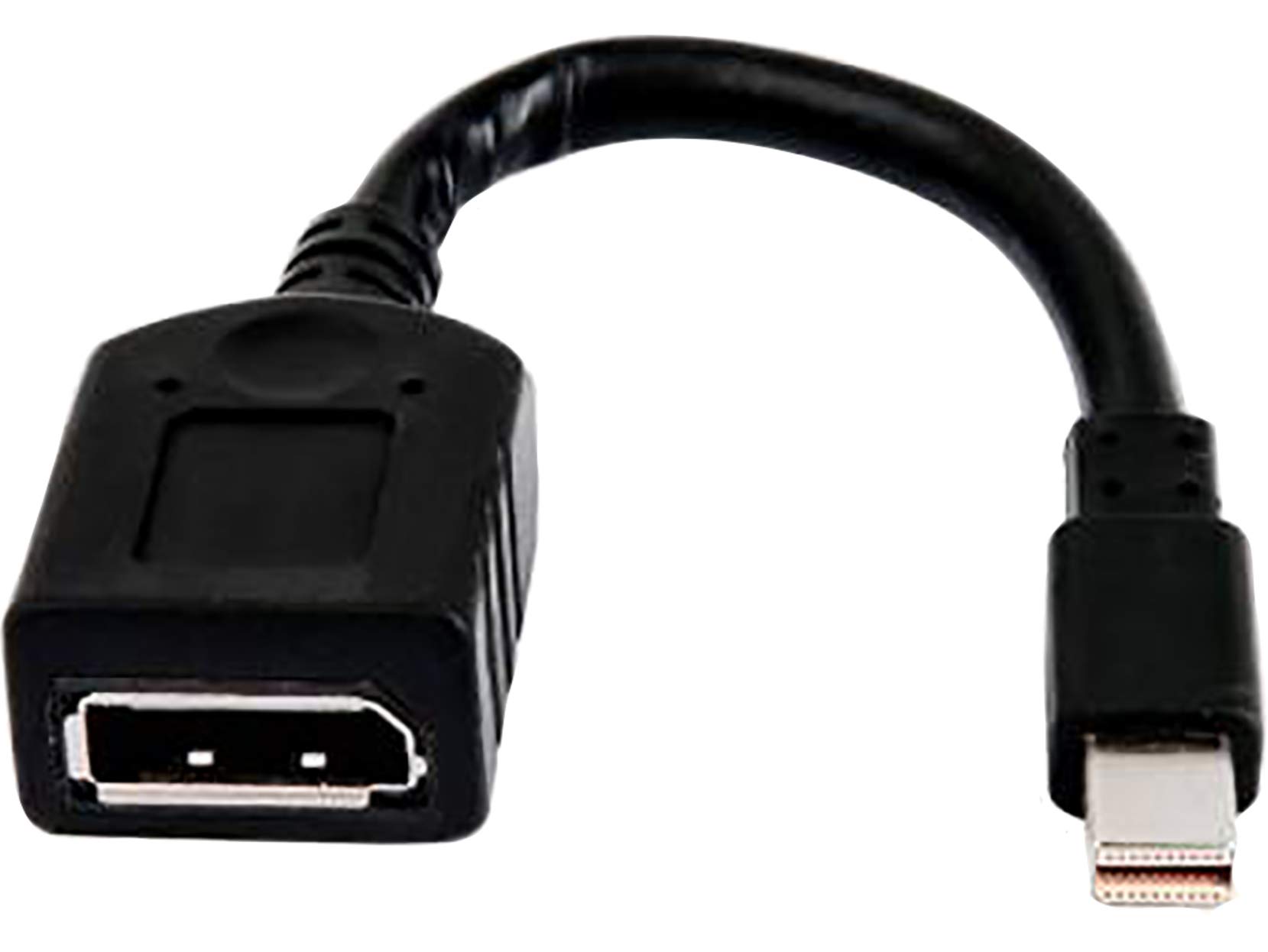 HP Mini DisplayPort to DisplayPort Adapter Cable - 12 Pack Bulk for Multiple Monitor Setup, Gaming & Office Workstations