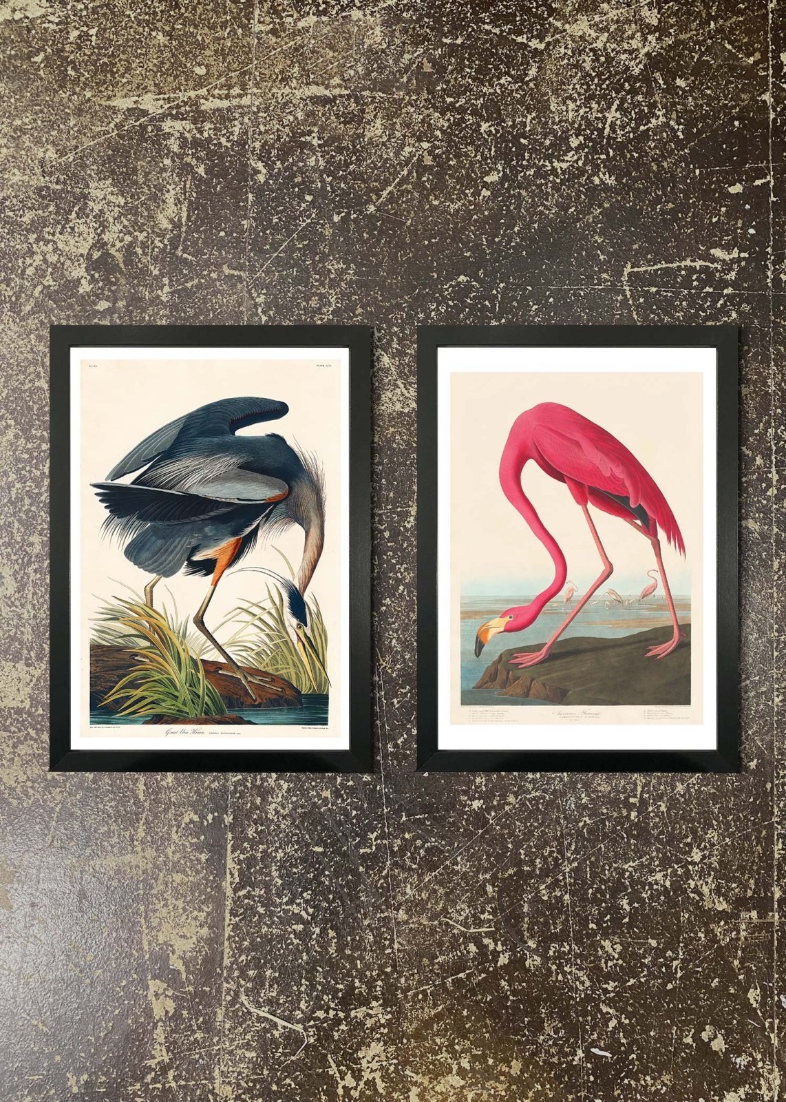 Blue Heron & Flamingo Wall Art Prints with Frames - Nature Inspired Home Decor for Living Room, Bedroom & Office