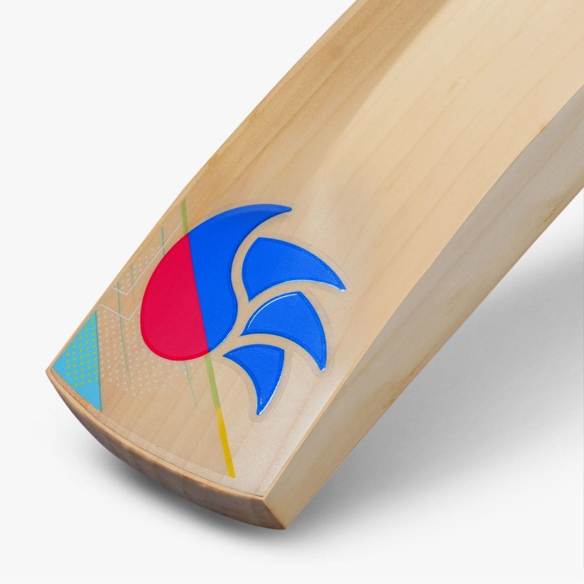 DSC Intense Shock Junior Cricket Bat - Lightweight & Durable for Youth Cricket Players - Perfect for Practice, Matches & Training Sessions