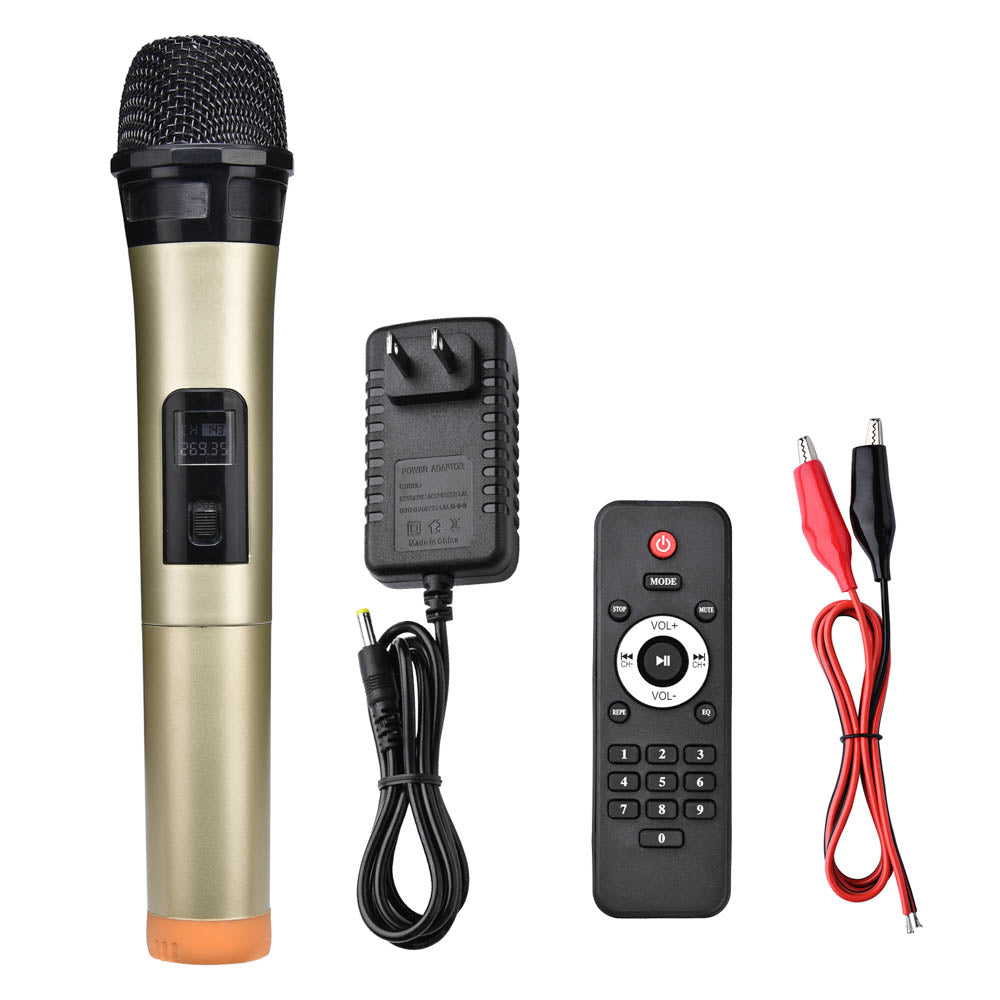 12-inch Portable Active PA Speaker with Wireless Microphone - Perfect for Outdoor Events, Parties & Public Speaking | TheLAShop