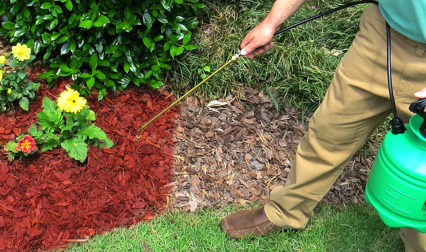 EnviroColor Red Mulch Dye | 32 oz Covers 2400 Sq Ft - Permanent Wood Mulch Paint for Landscaping & Garden Beds - Vibrant Color Enhancer for Flower Beds, Pathways & Commercial Landscaping Projects