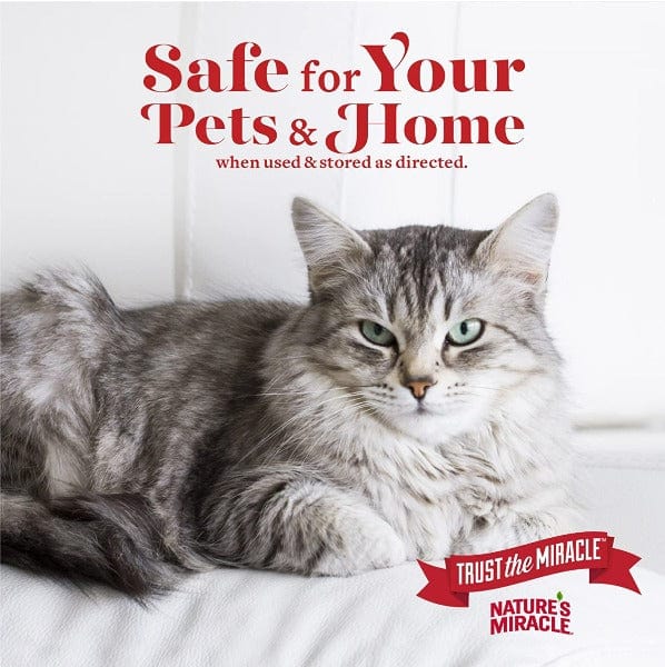 Nature's Miracle Cat Urine Destroyer Foam - Enzyme-Powered Stain & Odor Eliminator for Carpets, Furniture & Litter Boxes | Perfect for Pet Accidents & Multi-Surface Cleaning