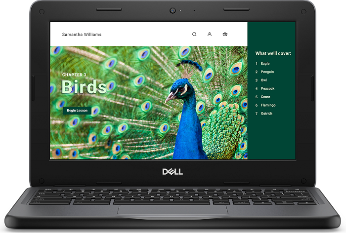 Dell Chromebook 3120 11.6