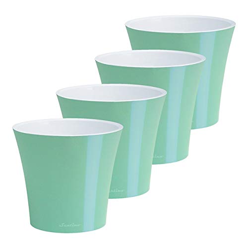 Menthol/White - Set of 4
