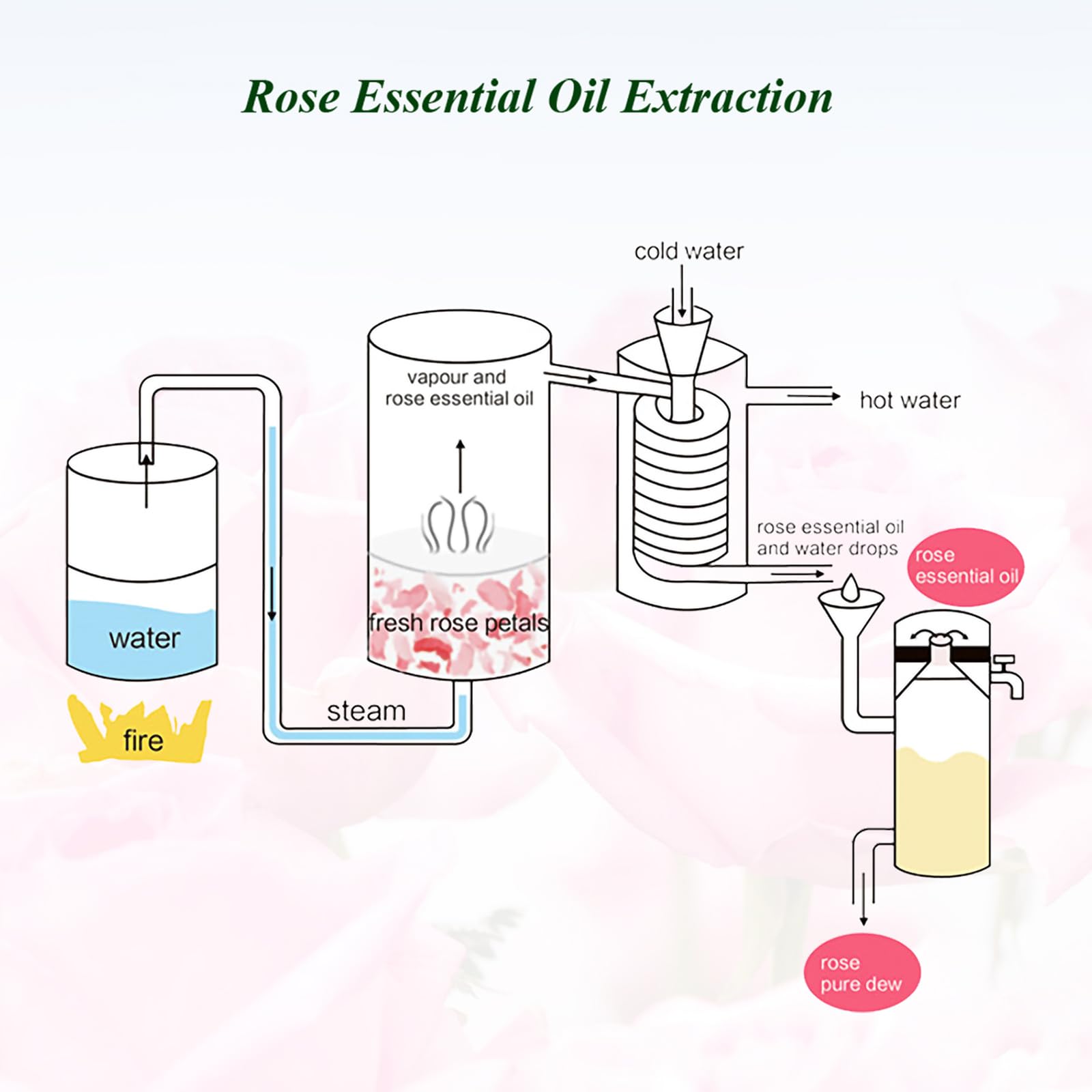 100% Pure Therapeutic Grade Rose Essential Oil - Natural Steam Distilled Rose Oil for Skin Care, Aromatherapy, Diffuser & Candle Making (0.33 Fl Oz) - Perfect for Relaxation, Spa & Home Fragrance