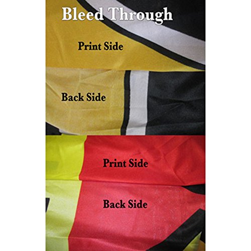Premium Windless Feather Flag Bundle for Food Marts – 11.5' Tall Snack & Beverage Advertising Flag with 15' Flagpole & Ground Stake – Perfect for Convenience Stores, Gas Stations & Retail Promotions