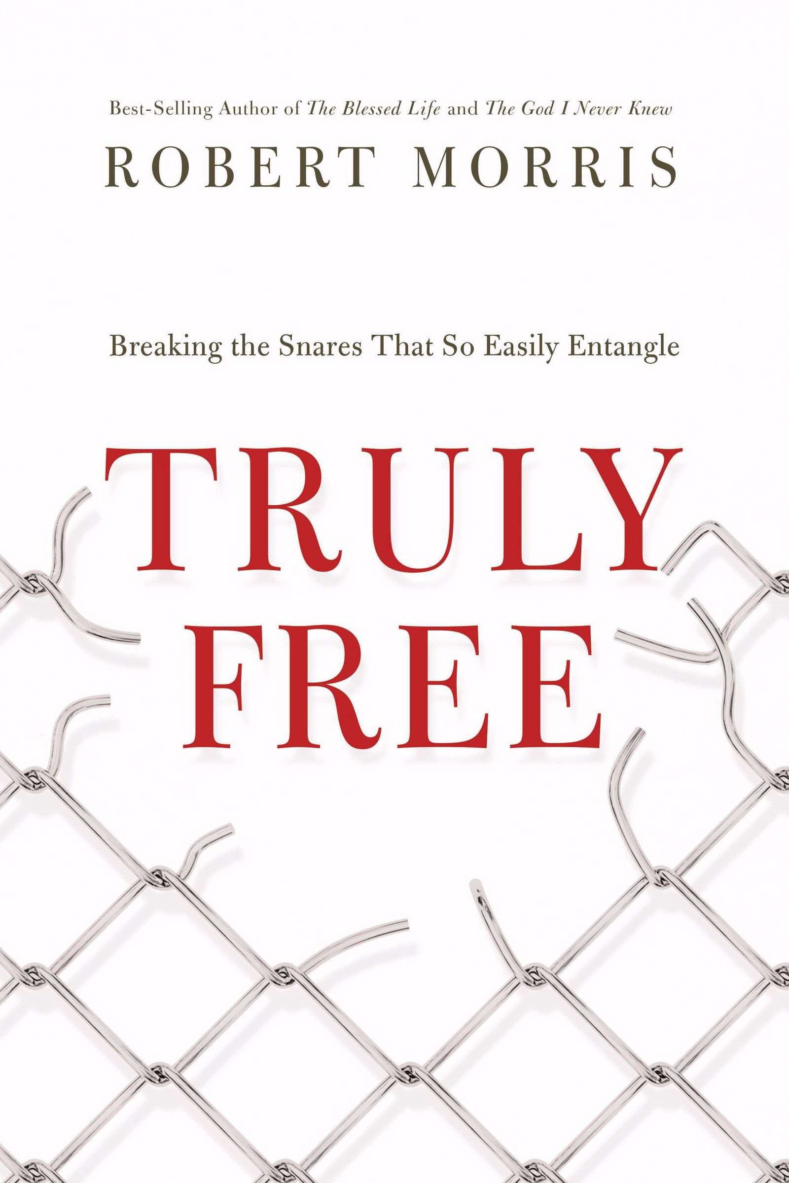 Truly Free: Breaking the Snares That So Easily Entangle - Christian Self-Help Book for Spiritual Growth & Personal Freedom - Perfect for Bible Study, Small Groups & Personal Devotion