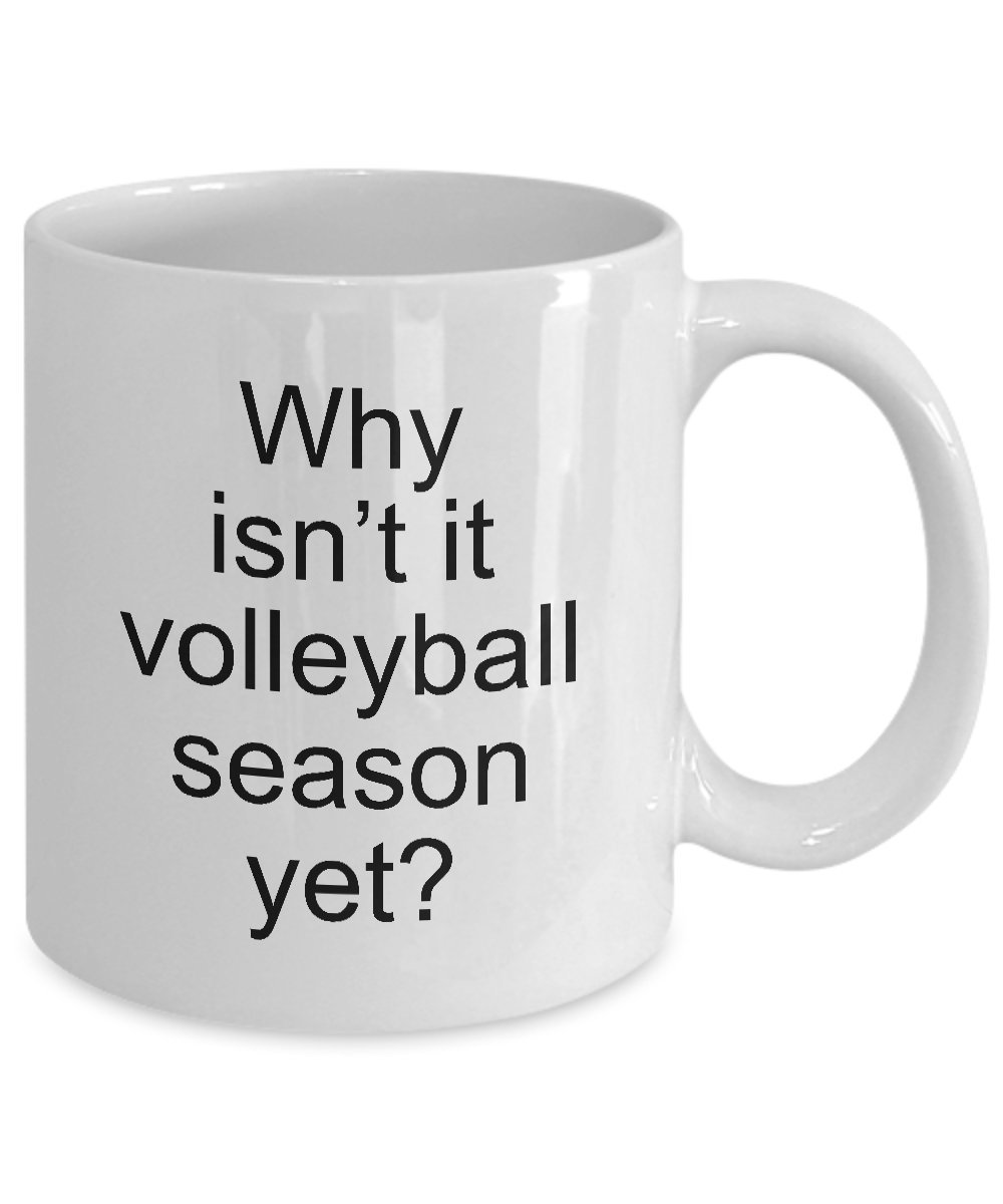 Volleyball Gifts for Players & Fans - Ceramic Coffee Mug & Tea Cup - Perfect for Volleyball Season, Games & Practice - Why Isn't It Volleyball Season Yet?