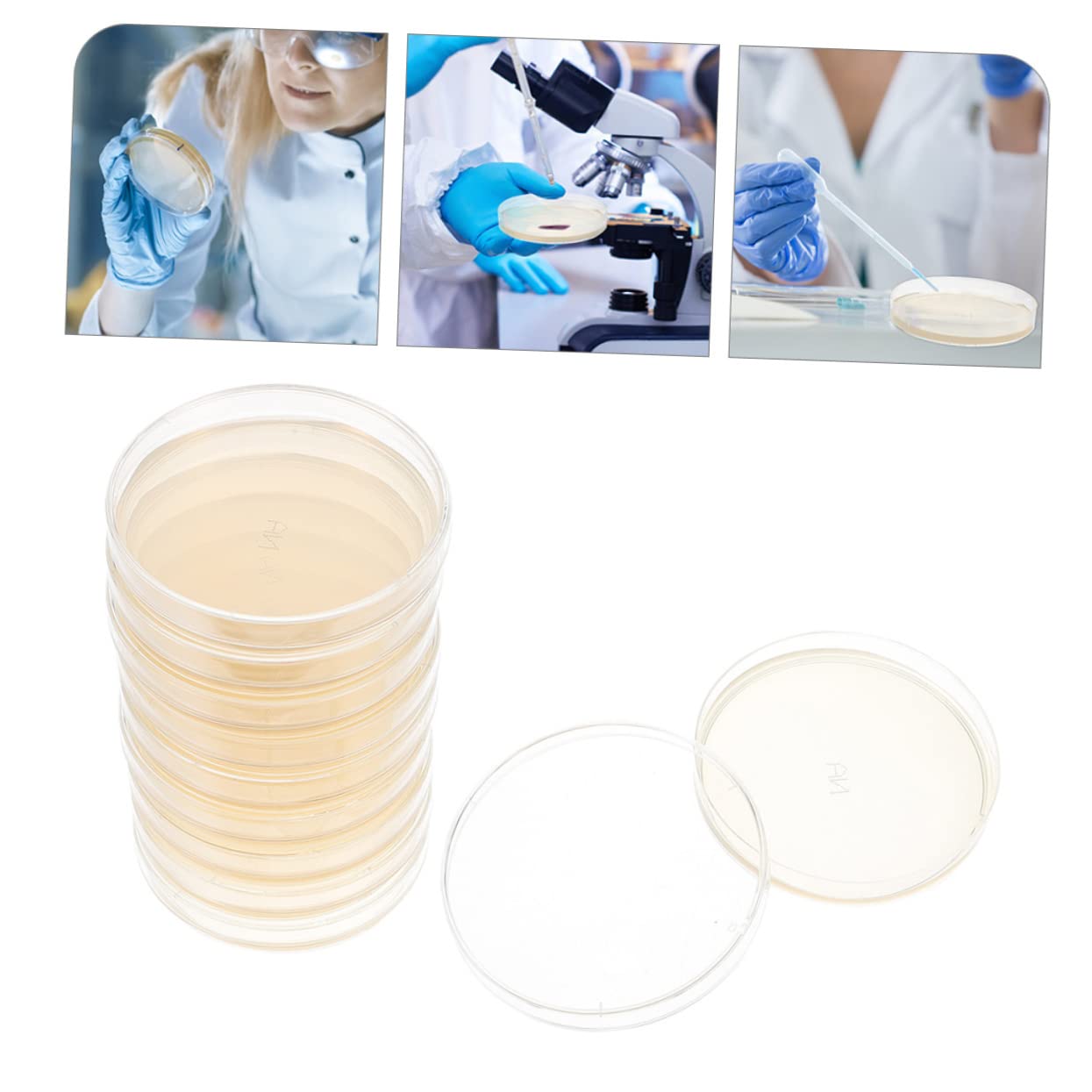 30 Pcs Nutrient Agar Petri Dishes for Mushroom Tissue Culture | Lab-Grade Agar Plates for Microbiology Experiments | Perfect for Classroom Labs, Home Science Kits & Kids STEM Projects