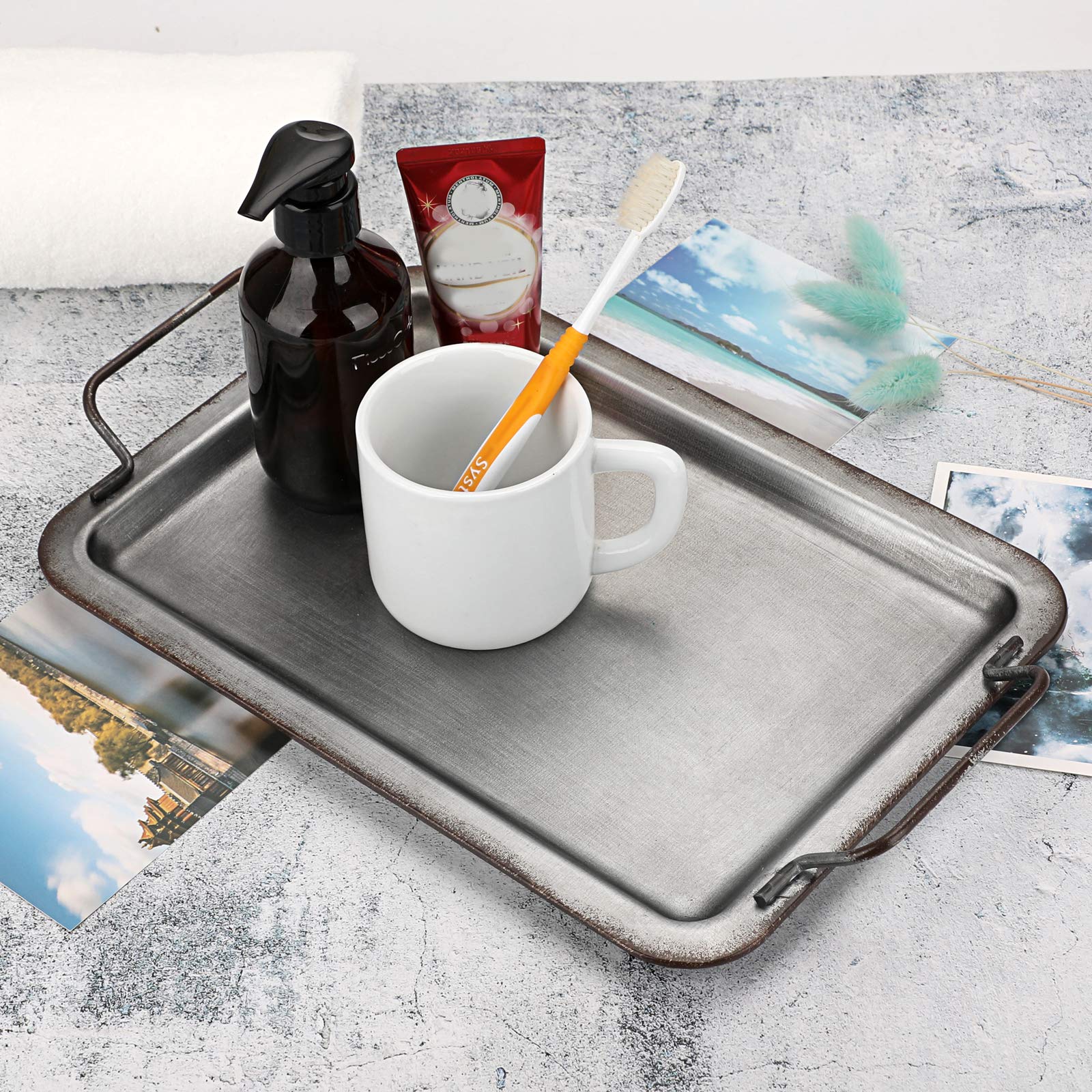 Galvanized Metal Serving Tray with Handle - 13