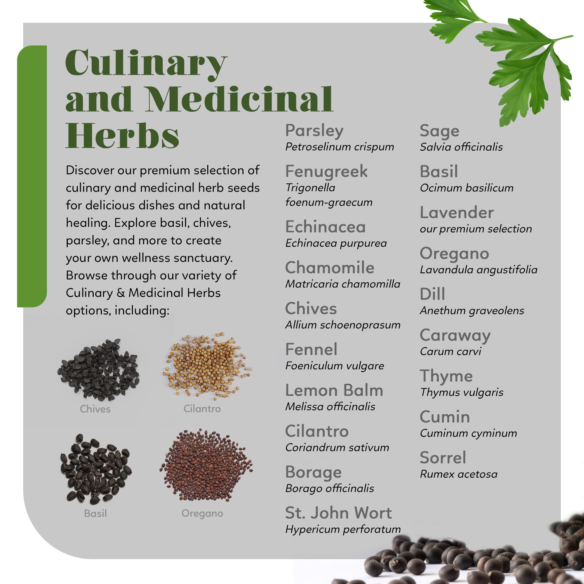 **Organic Heirloom Seed Kit - 70+ Varieties, 50,000+ Seeds - Non-GMO Fruits, Vegetables & Herbs for Home Gardening - Includes Culinary & Medicinal Herbs - Perfect for Backyard Farming, Urban Gardening & Sustainable Living**